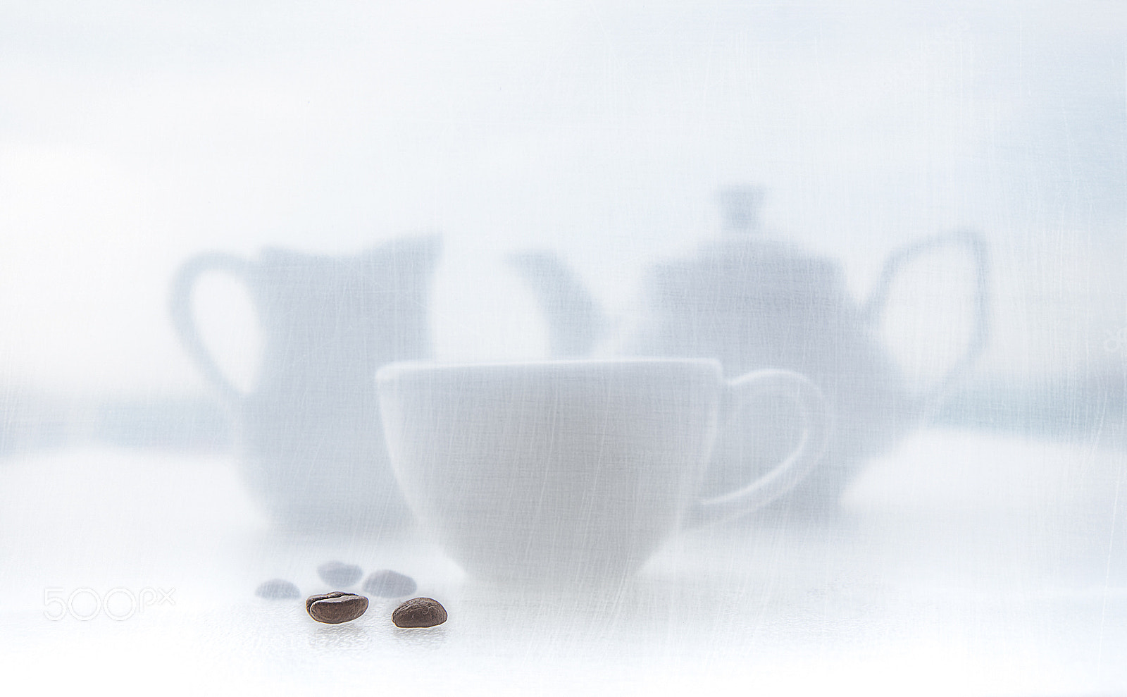 Nikon D610 sample photo. Untitled photography