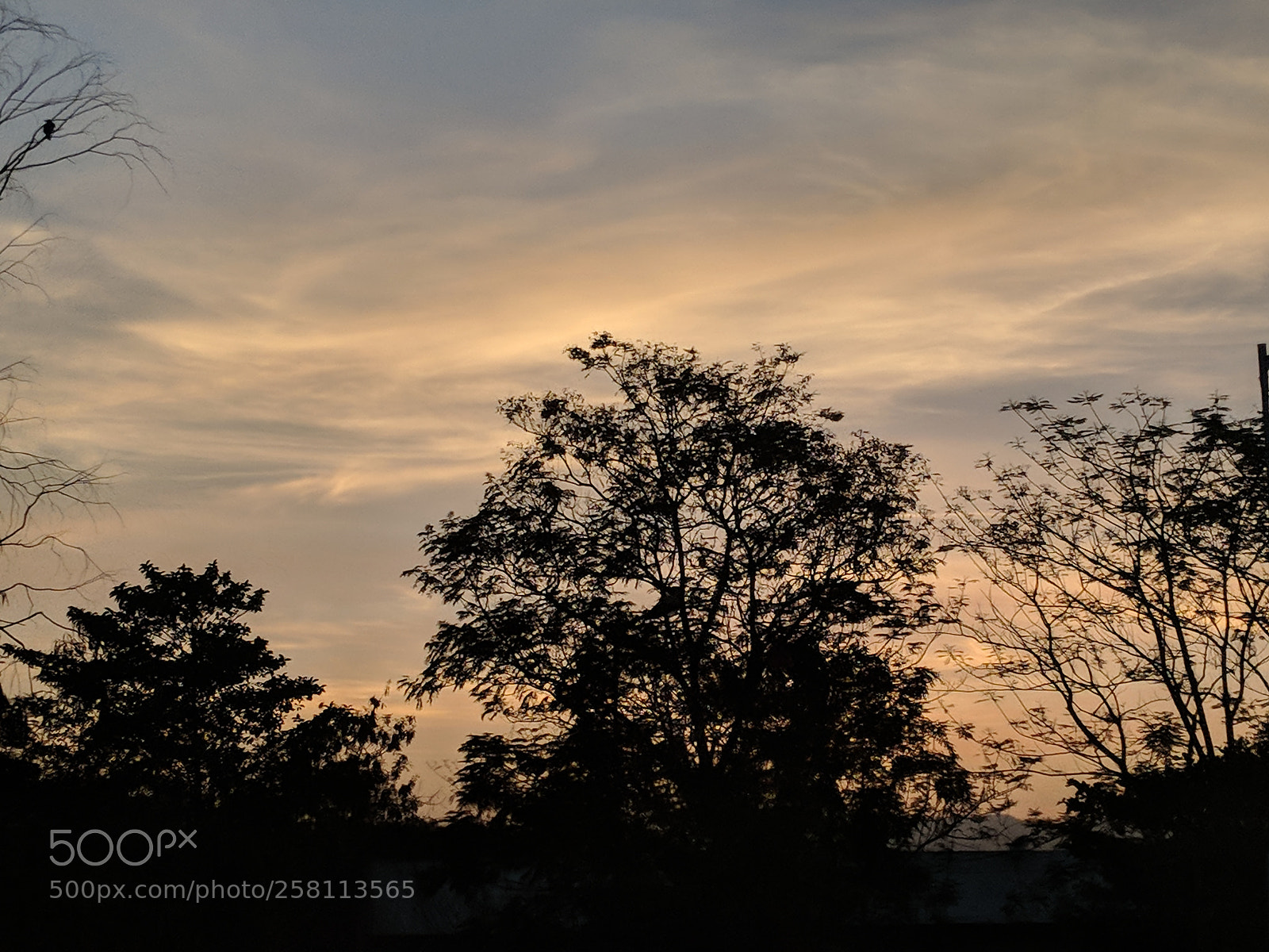 Google Pixel 2 sample photo. Silhouette photography