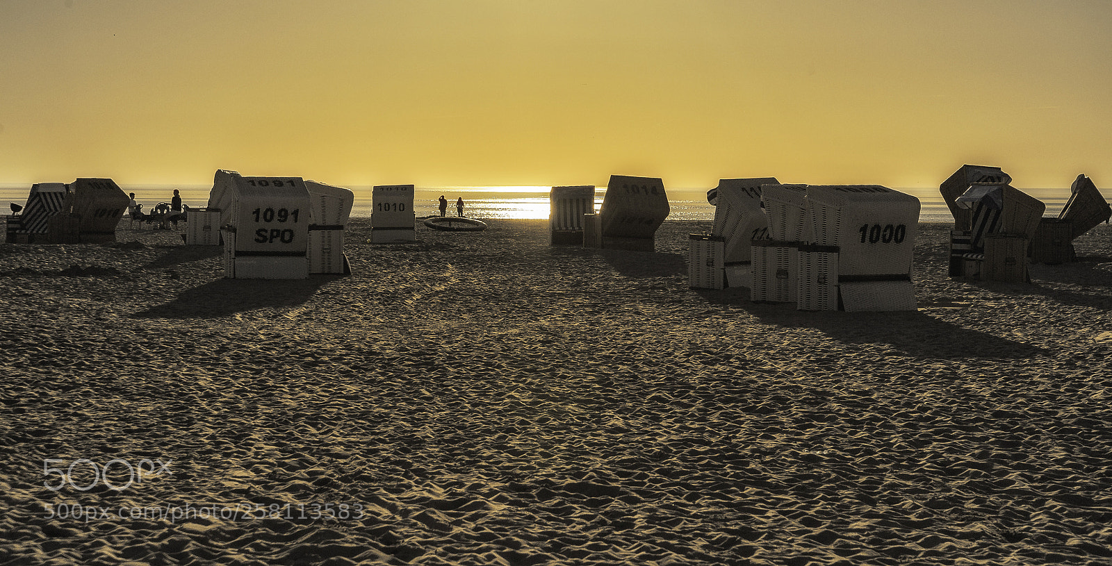 Nikon D700 sample photo. Golden hour at the photography