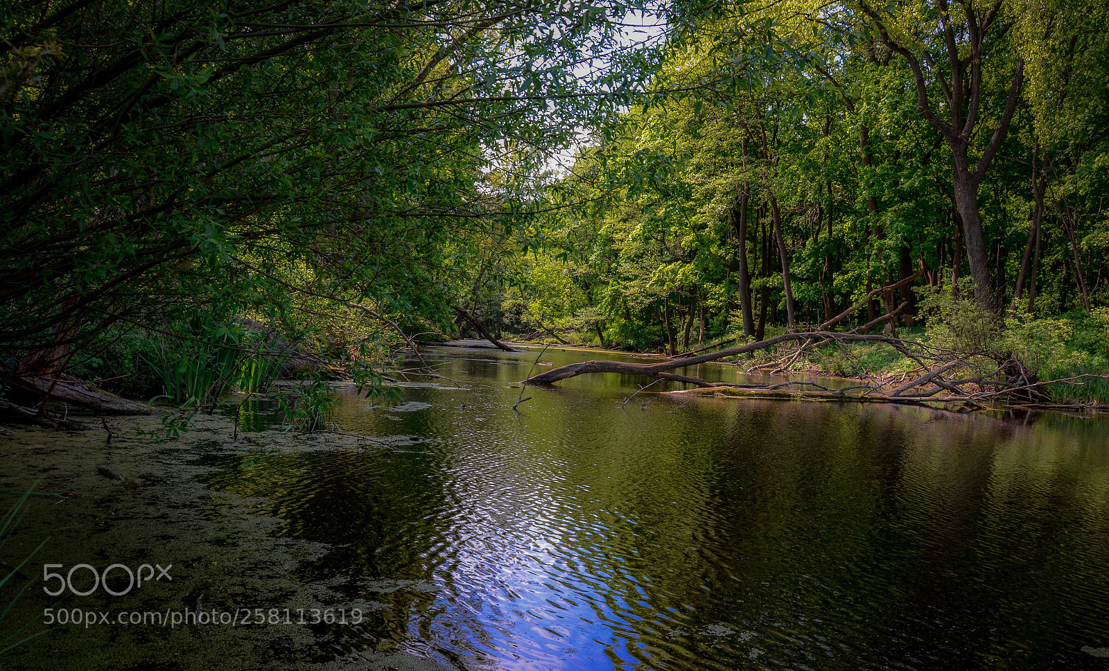 Nikon D7000 sample photo. Lake** photography