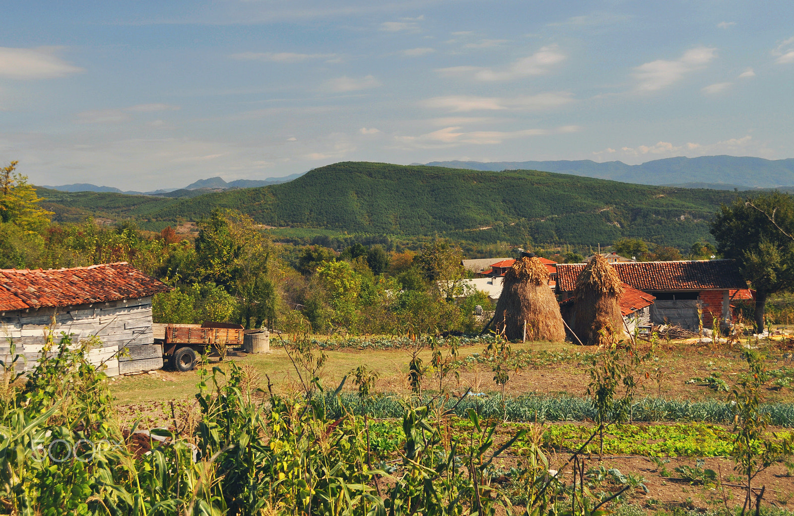 Nikon D5000 sample photo. ** photography