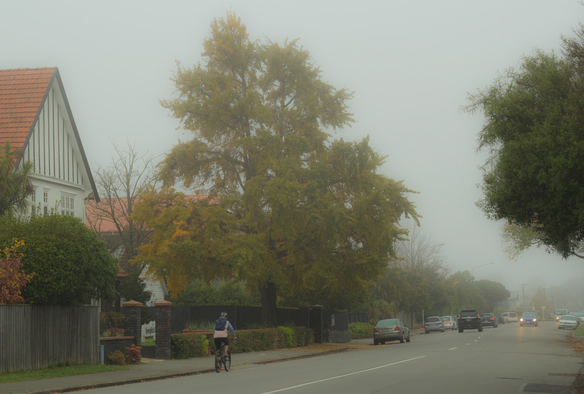 Canon EOS 600D (Rebel EOS T3i / EOS Kiss X5) sample photo. Foggy morning photography