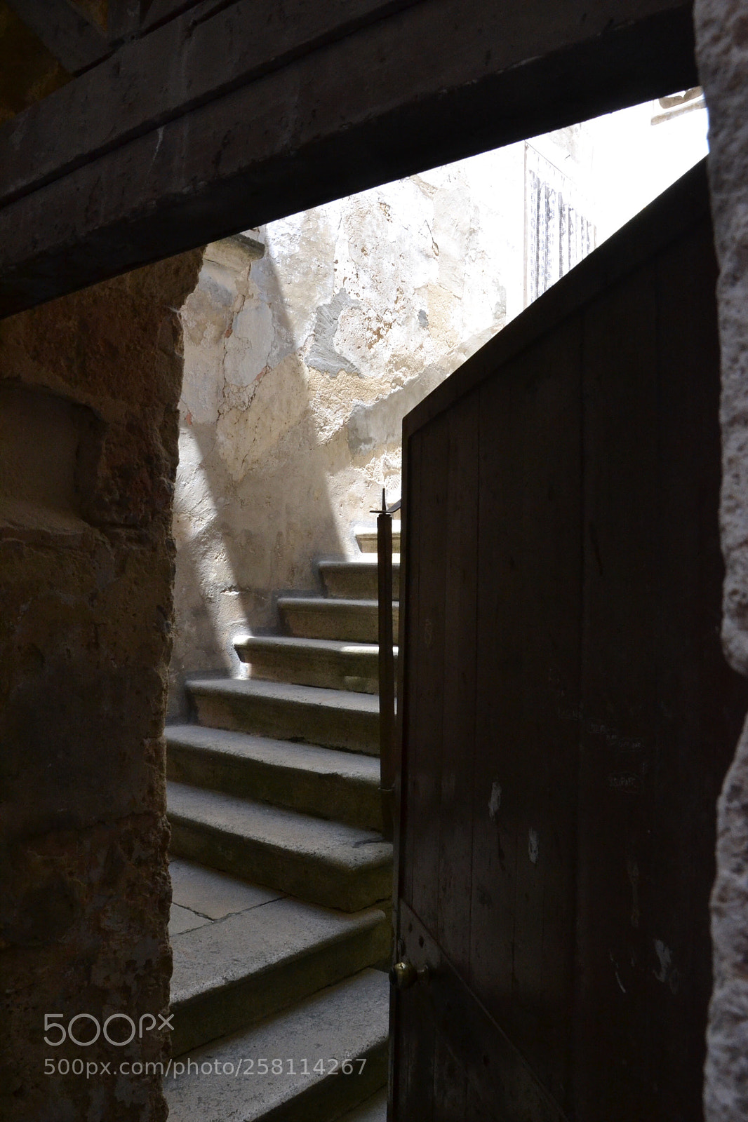 Nikon D3100 sample photo. Untitled photography