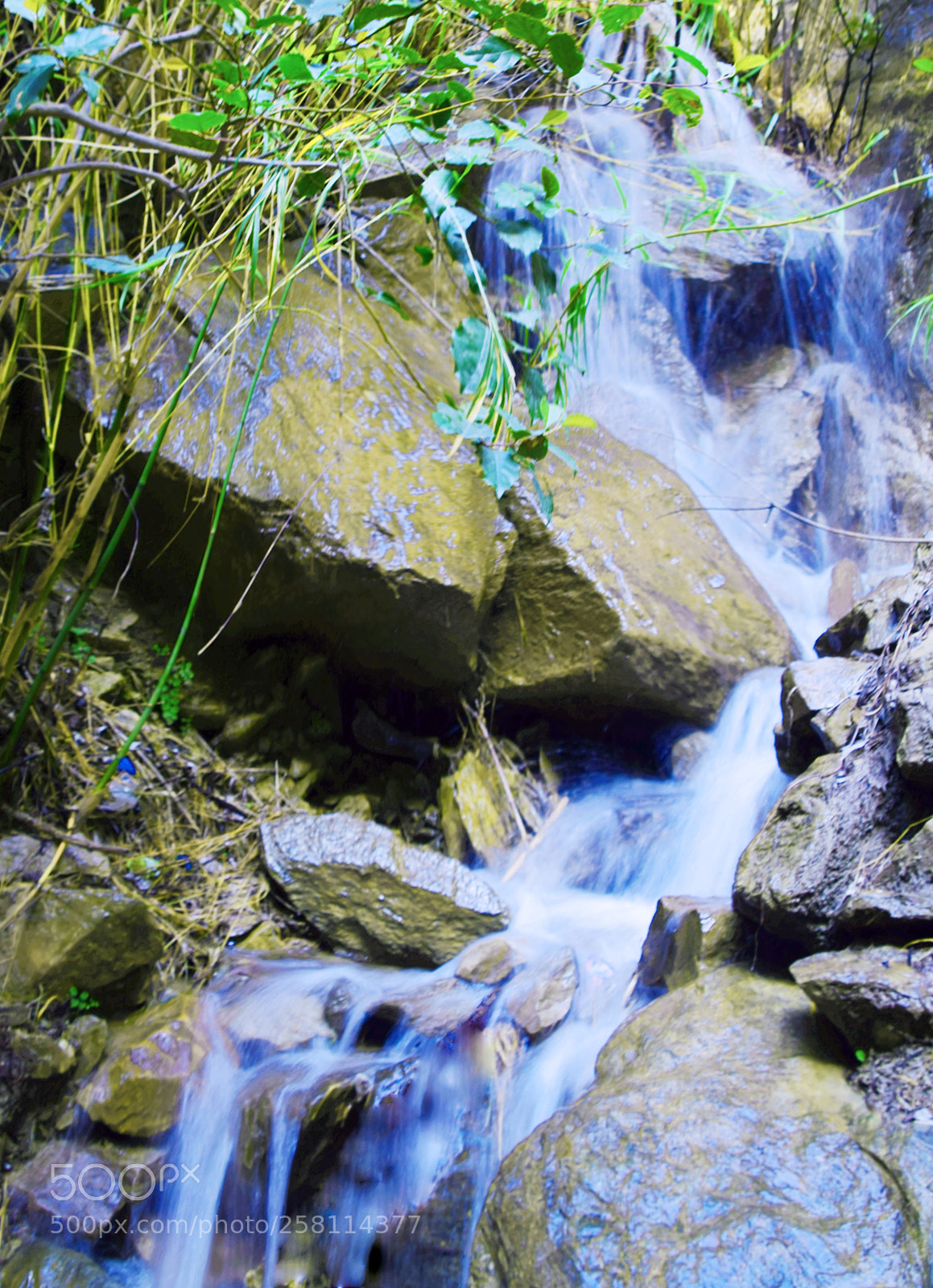 Nikon D5300 sample photo. Untitled photography