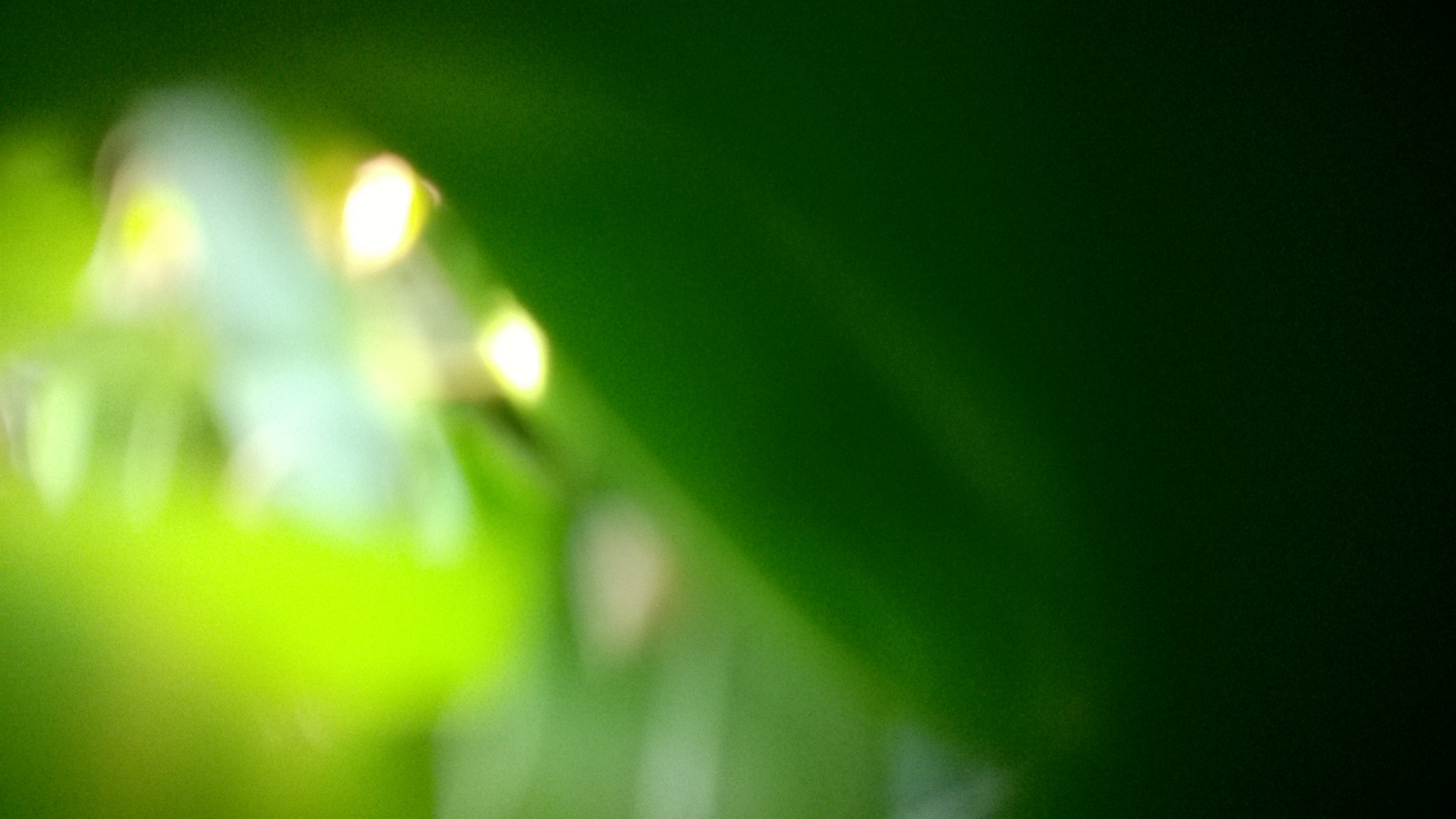 Nokia Lumia 735 sample photo. Green illuminator photography