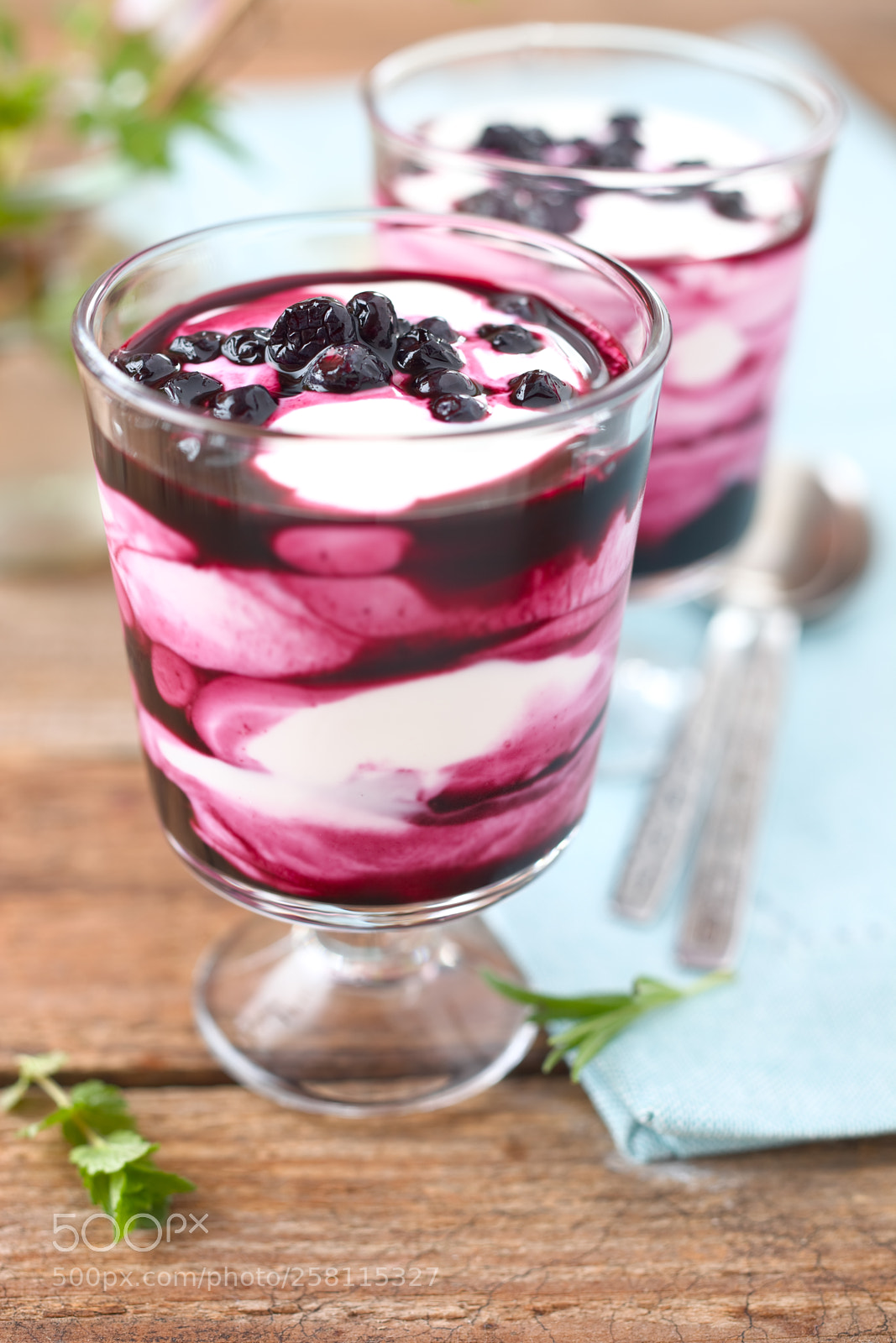 Canon EOS 5D Mark II sample photo. Yoghurt dessert with blueberry. photography