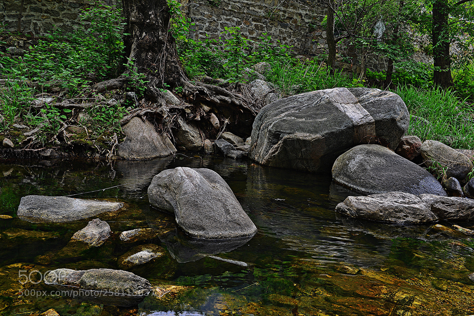 Nikon D800 sample photo. Untitled photography