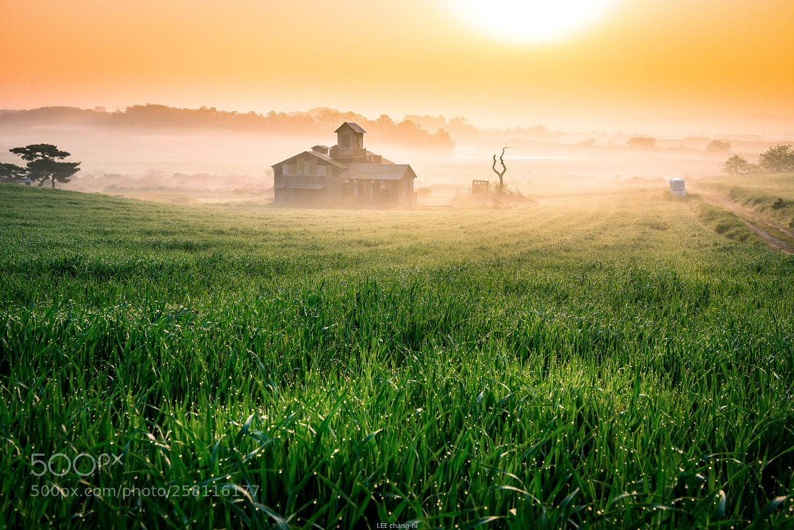 Nikon D810 sample photo. The morning photography
