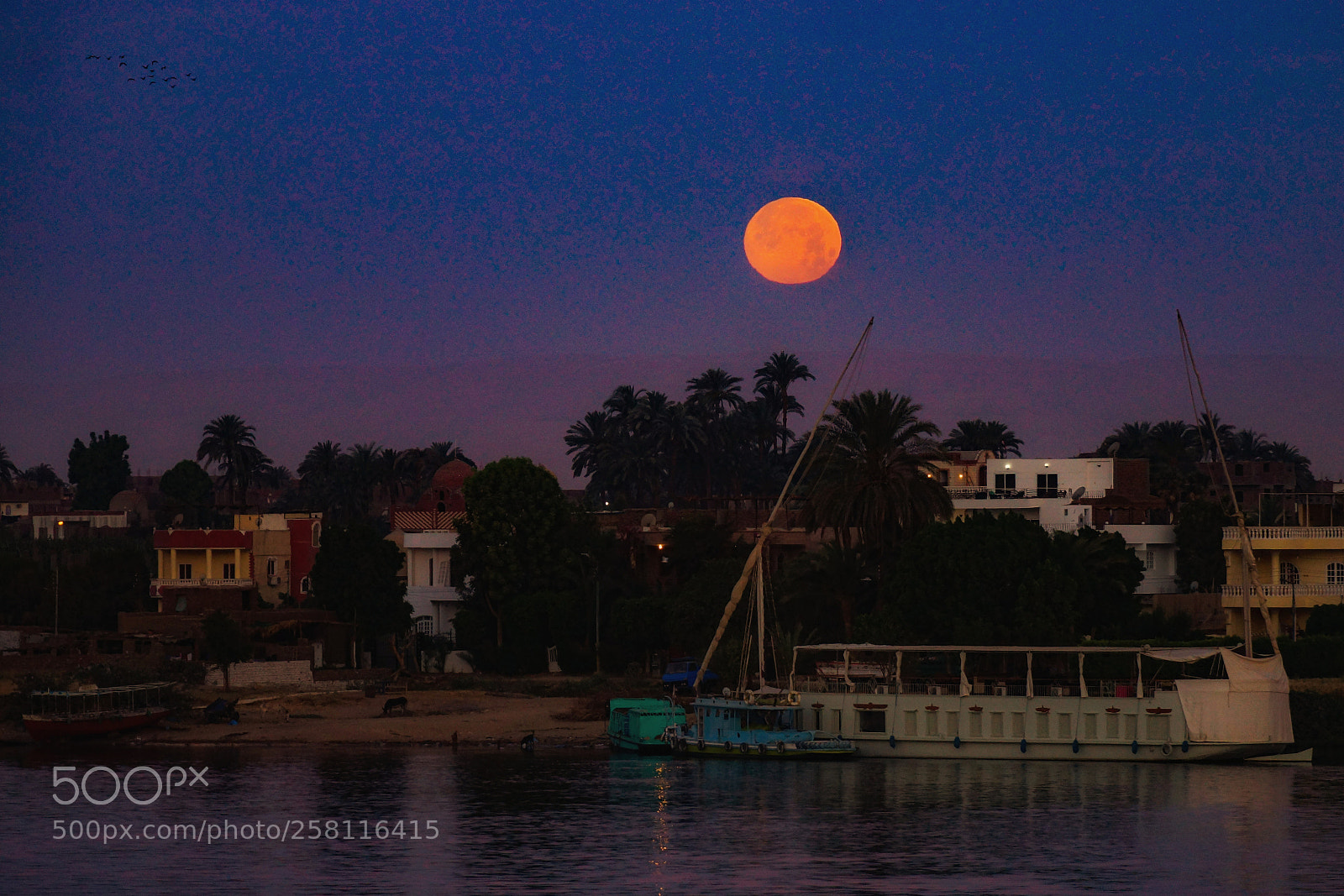 Sony SLT-A77 sample photo. Luxor moon photography