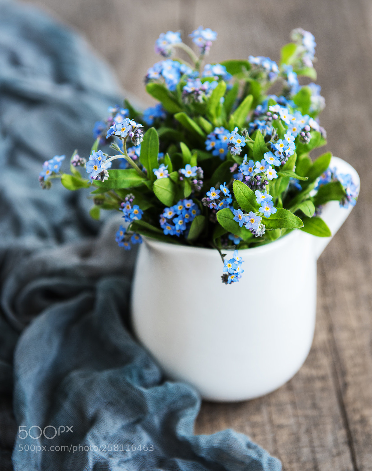 Nikon D750 sample photo. Bouquet of forget me photography