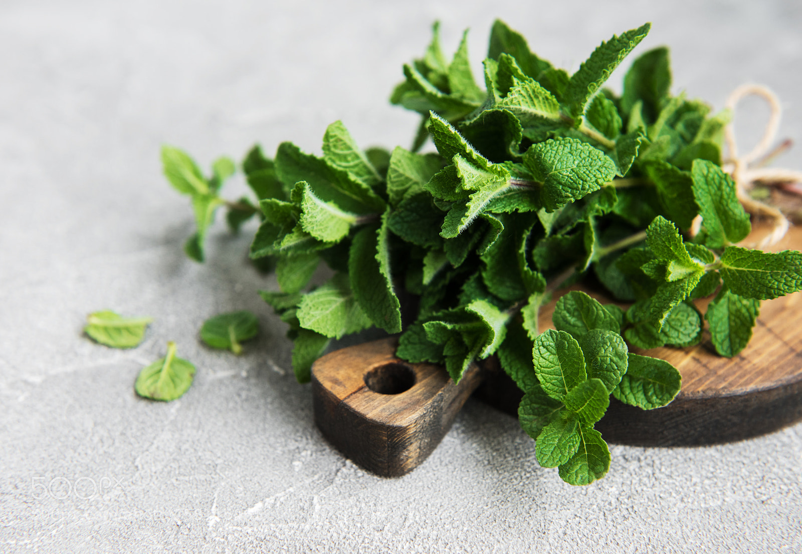 Nikon D750 sample photo. Fresh green mint photography