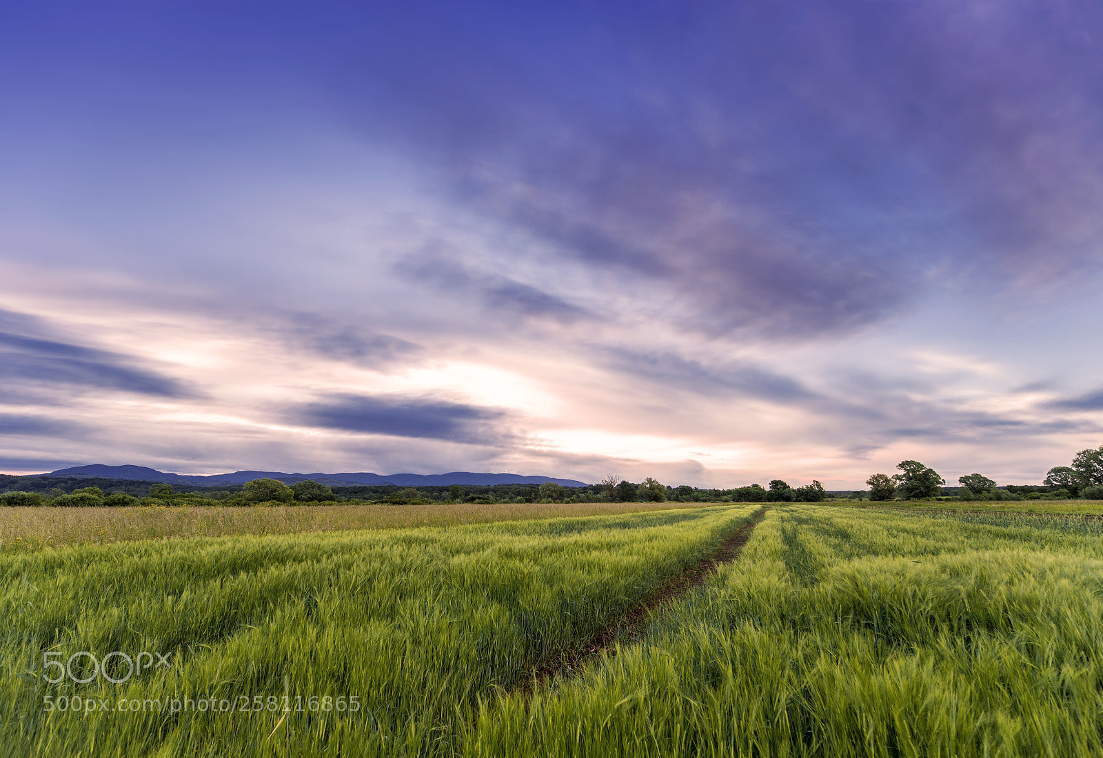 Canon EOS 6D sample photo. Under the clouds photography