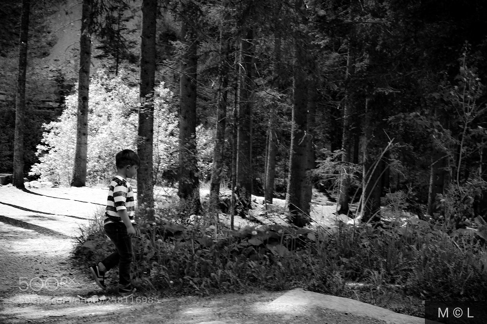 Canon EOS 600D (Rebel EOS T3i / EOS Kiss X5) sample photo. Playing in the forest photography