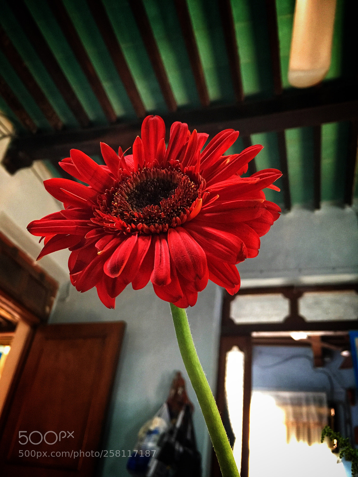 Apple iPhone SE sample photo. 10 de mayo photography