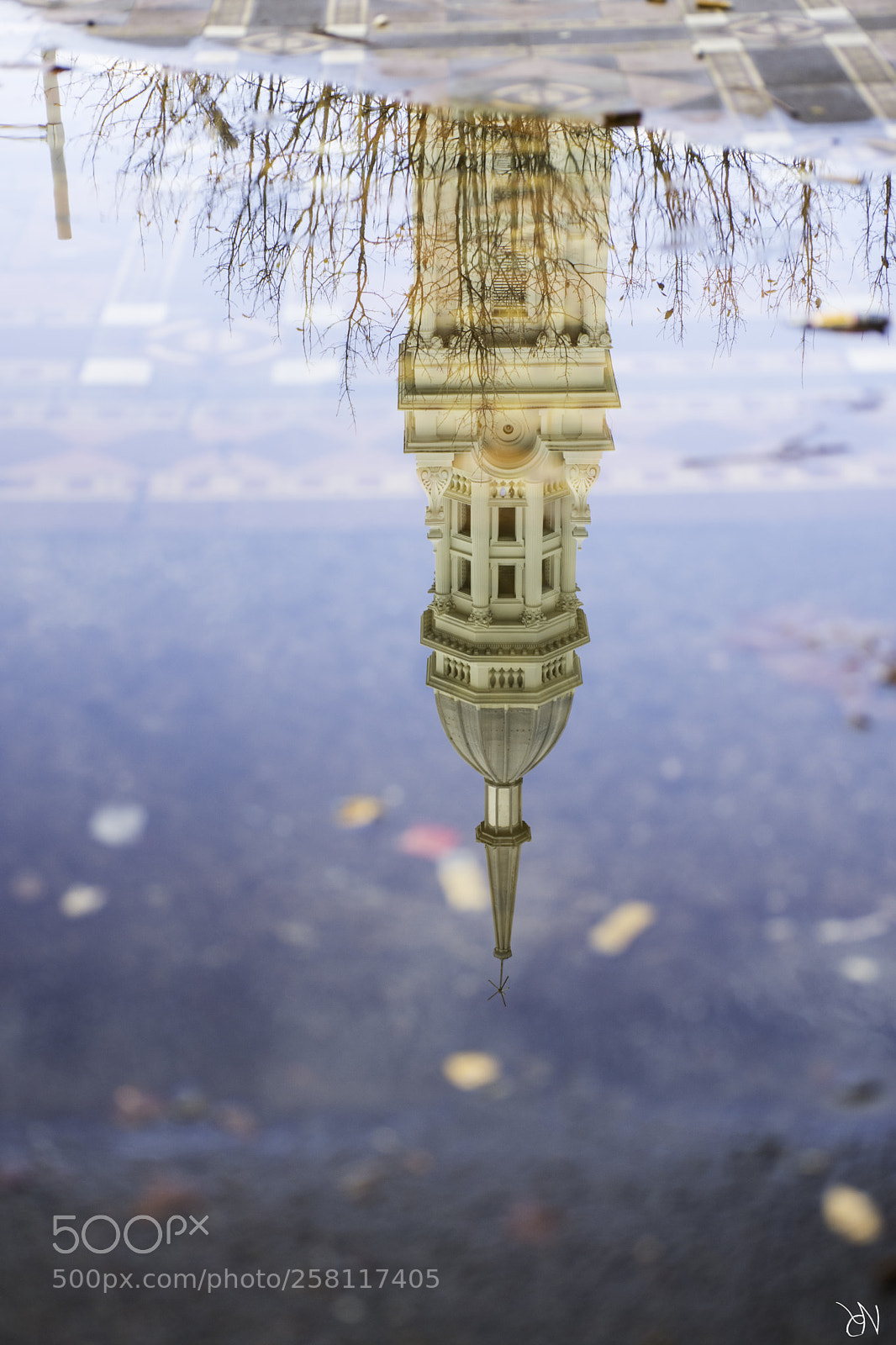 Nikon D7200 sample photo. Reflection photography