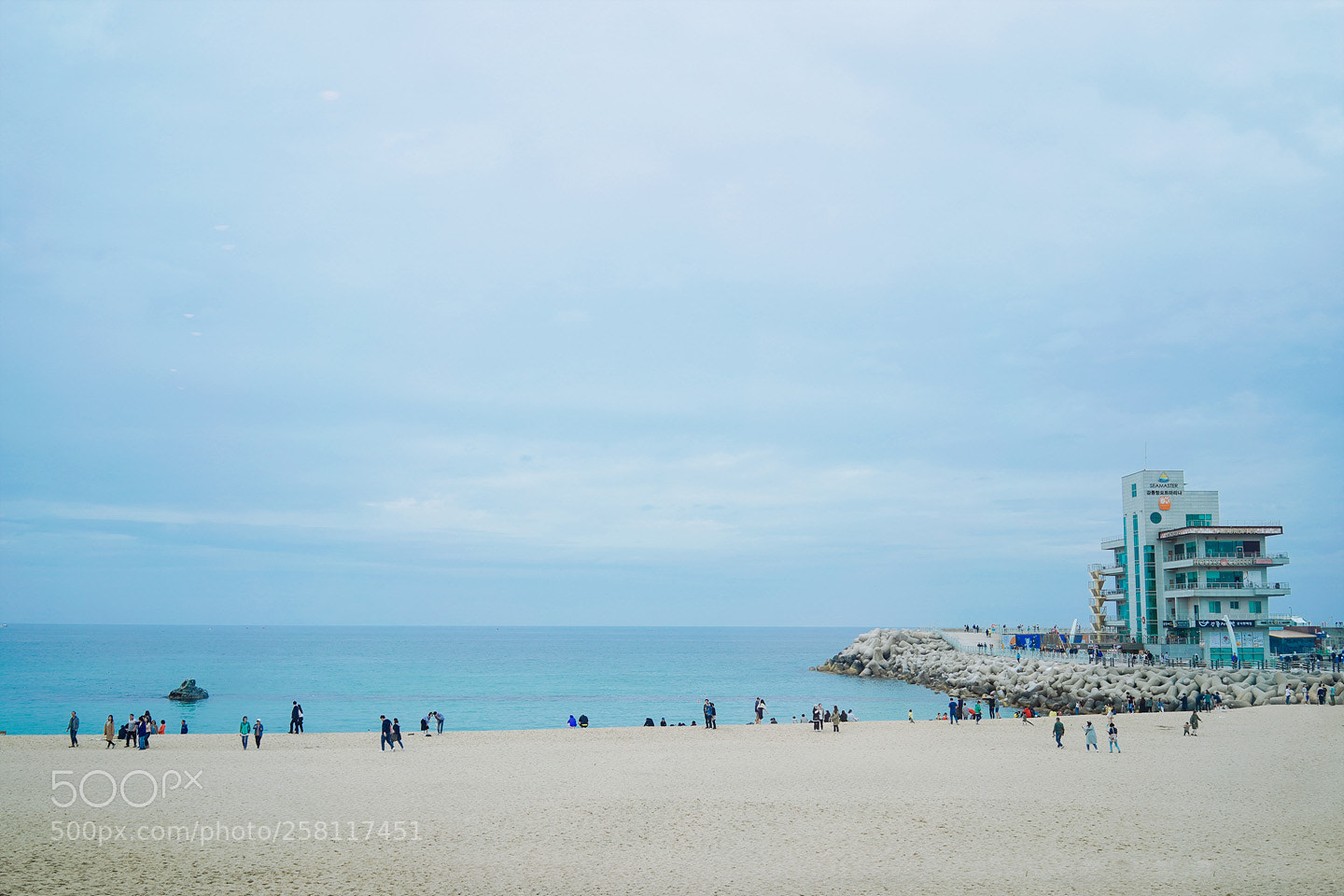 Sony a9 sample photo. Gangneung photography