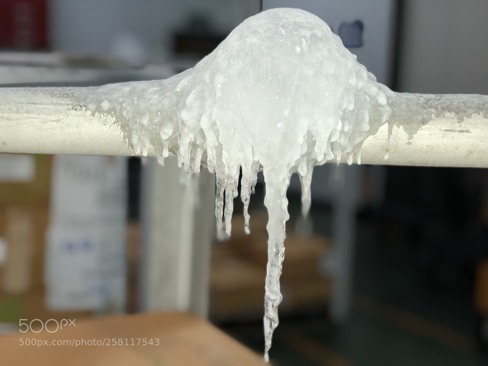 Apple iPhone 8 Plus sample photo. Untitled photography