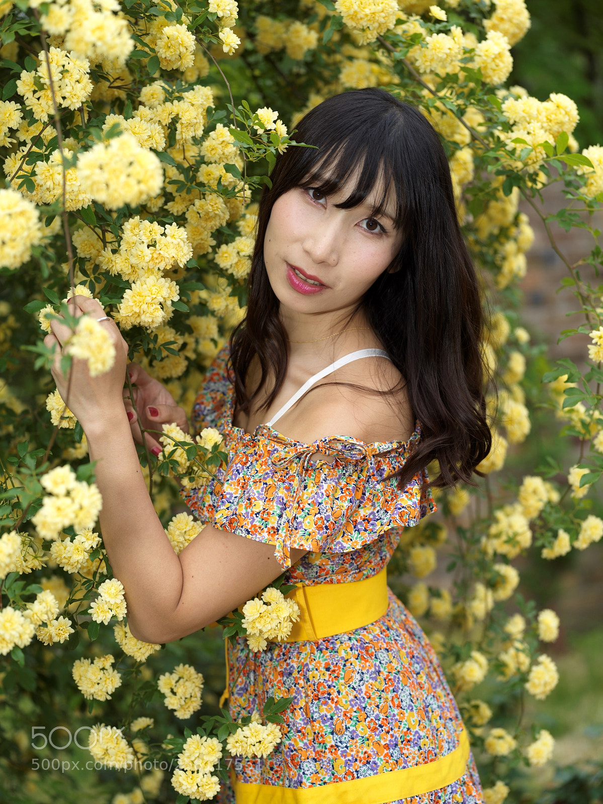 Hasselblad X1D-50c sample photo. Yellow flowers photography