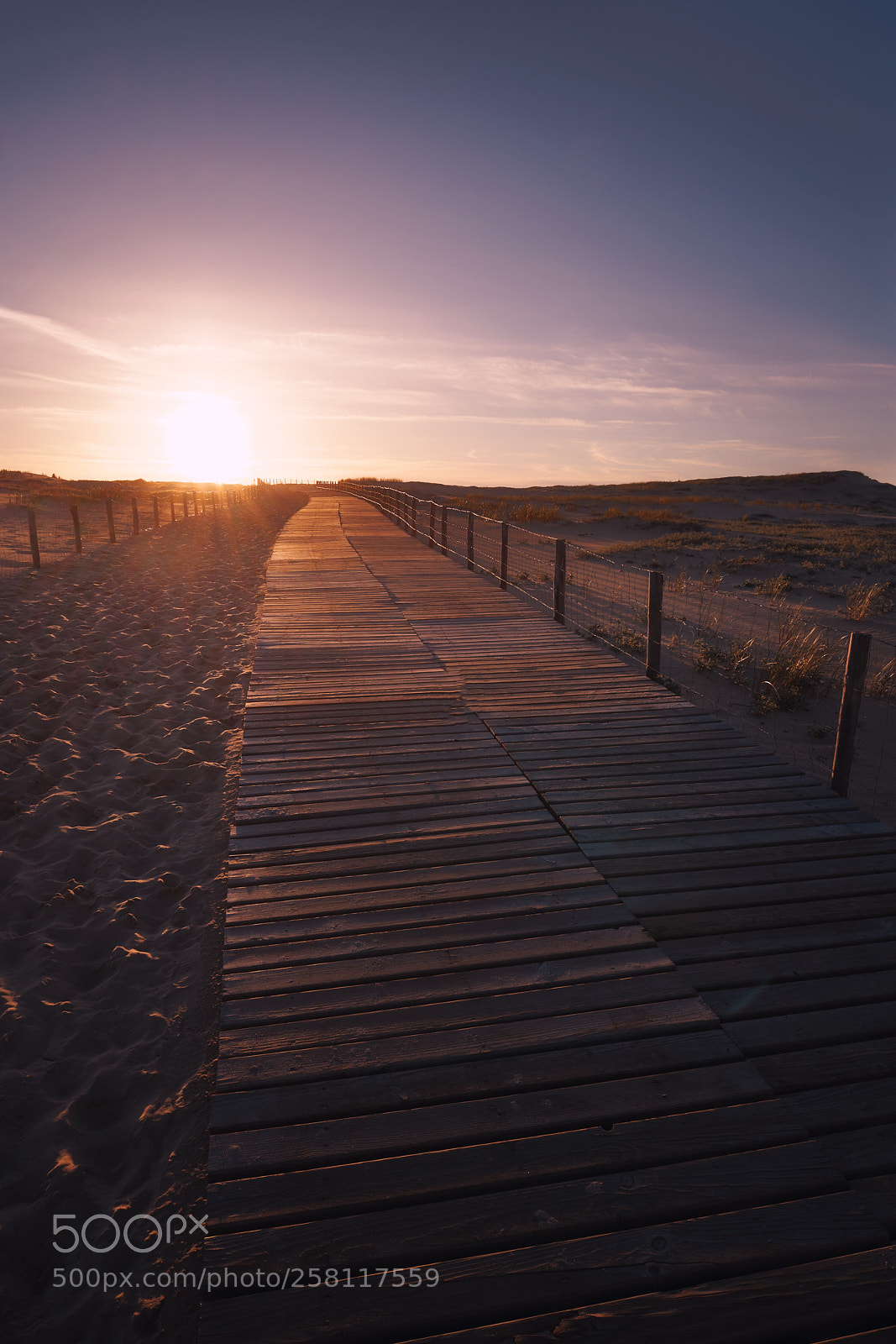 Sony a7R III sample photo. Wooden path photography