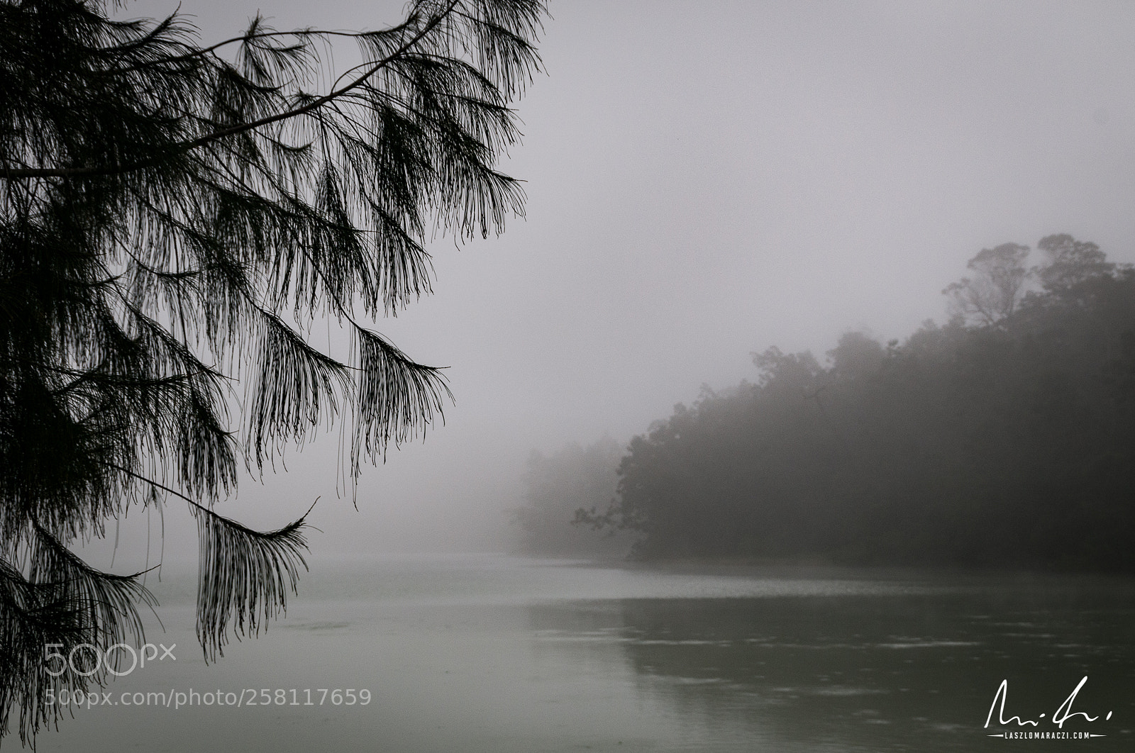 Nikon D300 sample photo. Misty dawn photography