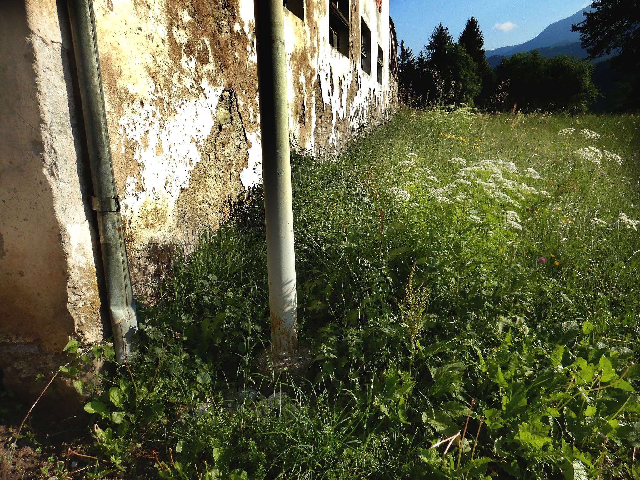 Nikon Coolpix W300 sample photo. Grass, tubes and wall photography