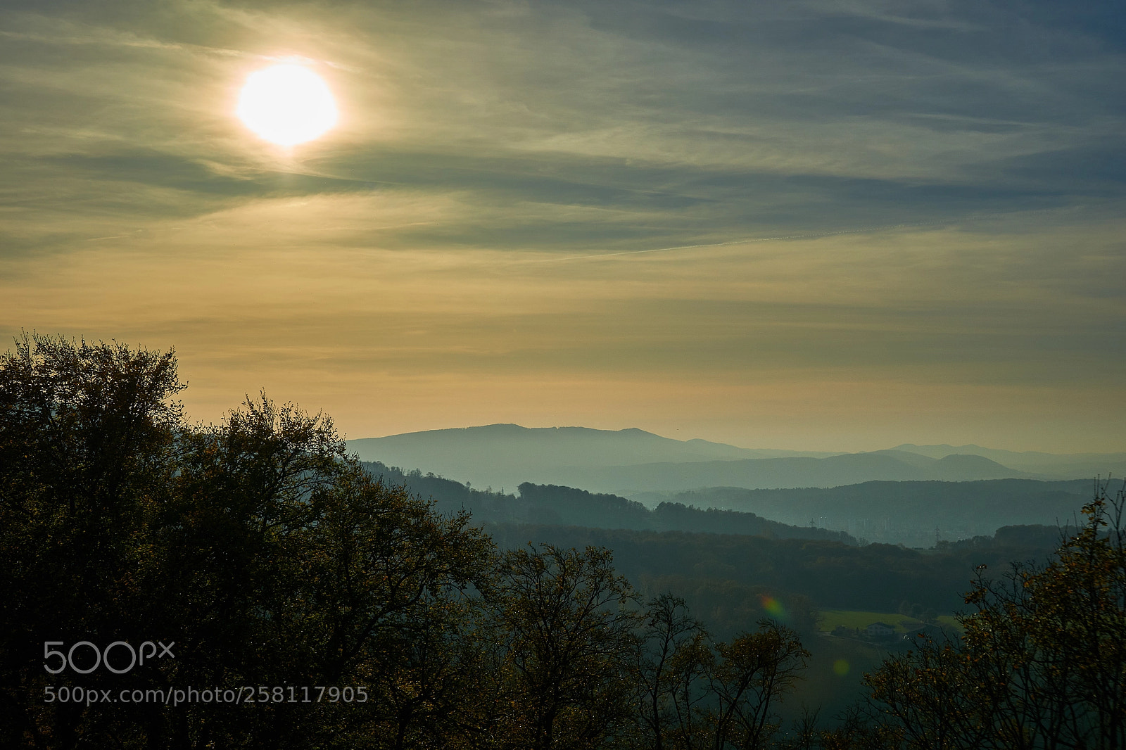 Sony a6000 sample photo. Dsc02666 .jpg photography