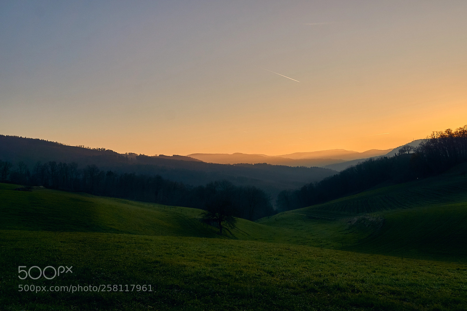 Sony a6000 sample photo. Yellow, green and blue photography
