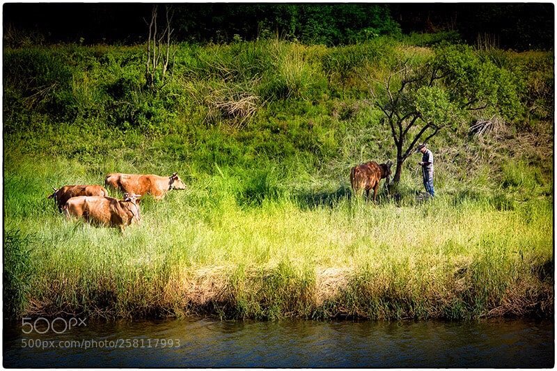 Canon EOS 5D Mark II sample photo. Pastoral scenery photography