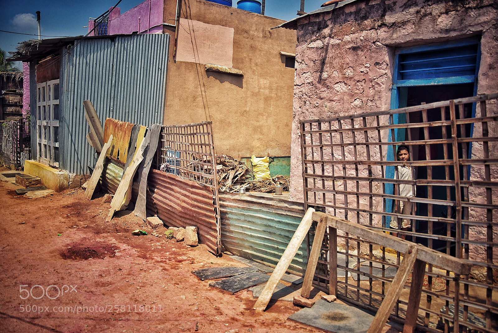 Nikon D5300 sample photo. Caged photography