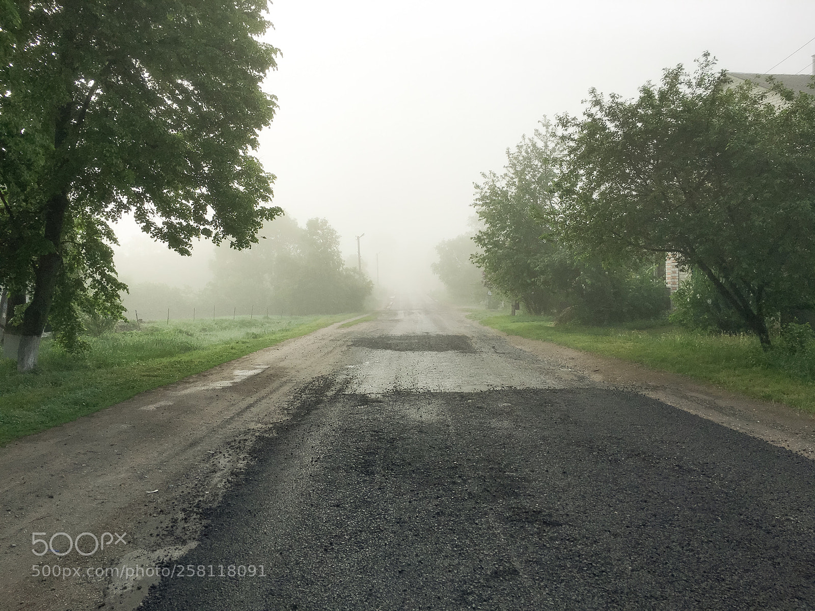 Apple iPhone 6s sample photo. Foggy morning  photography
