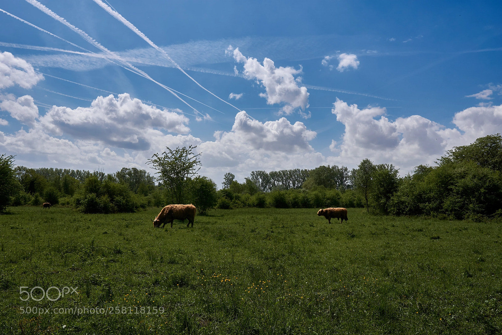 Sony a6000 sample photo. France and scotland united photography