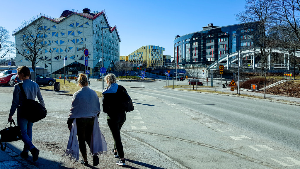 Юридическая защита: основы, важность и значение для общества