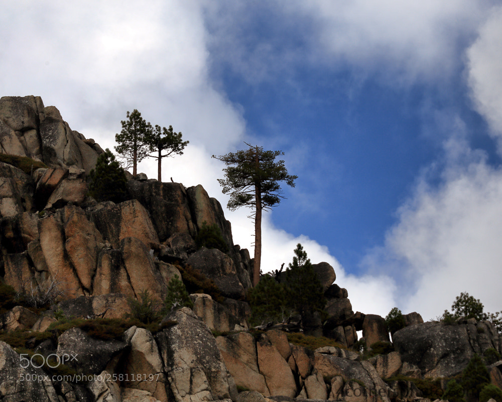 Canon EOS 6D sample photo. Clouds and trees, tuolumne photography