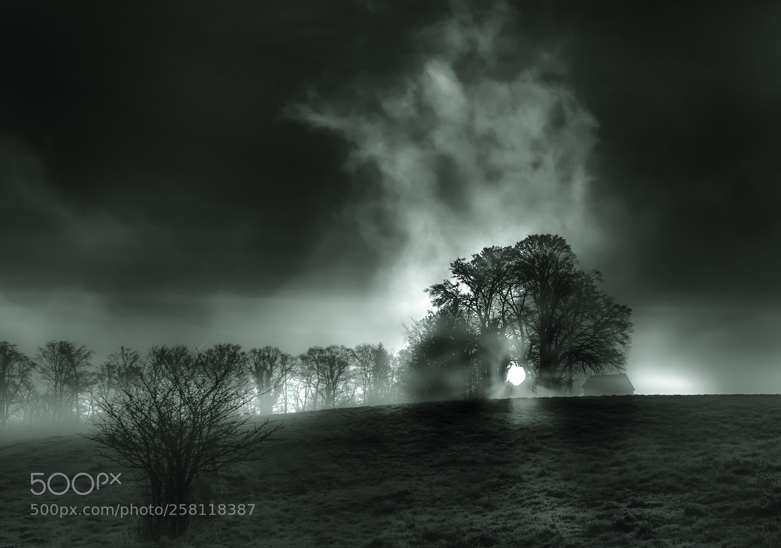 Nikon D750 sample photo. Foggy day photography