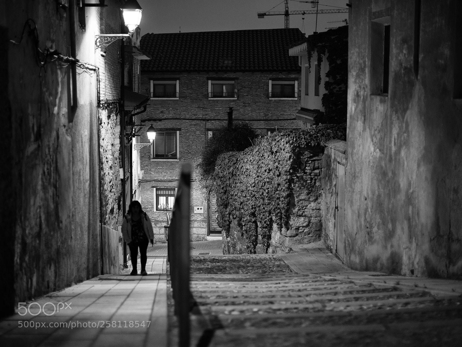 Nikon D750 sample photo. Tudela, calle magdalena photography