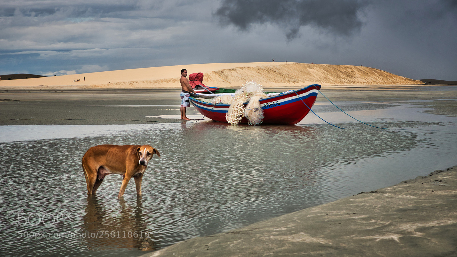 Nikon D750 sample photo. The fisherman & the fisherdog photography