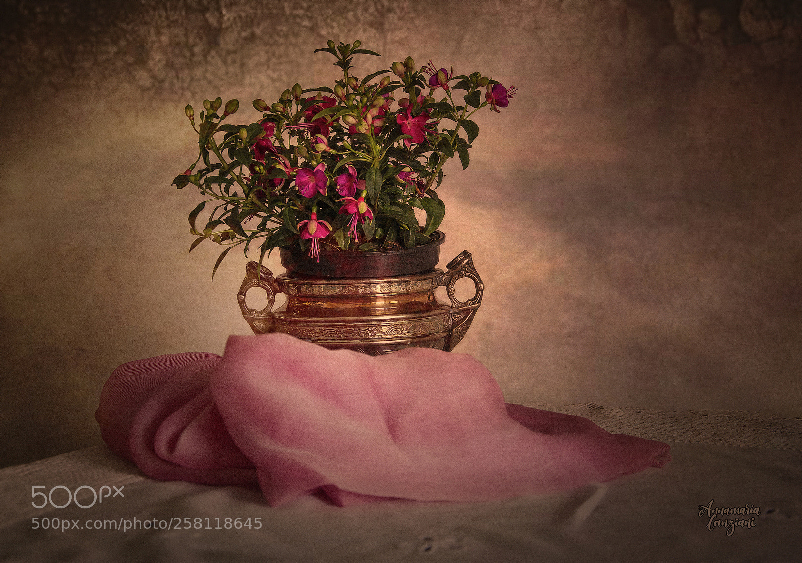 Nikon D5200 sample photo. Fuchsia photography