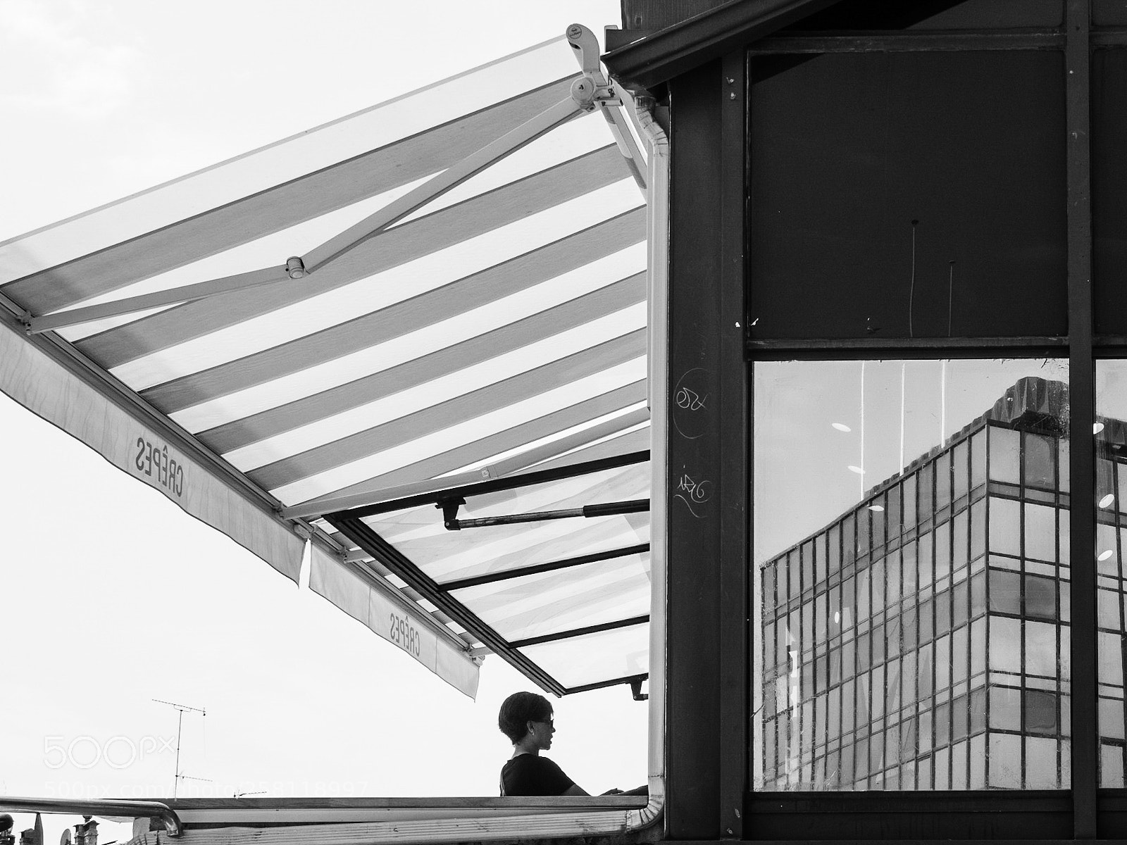 Olympus OM-D E-M5 II sample photo. Untitled photography