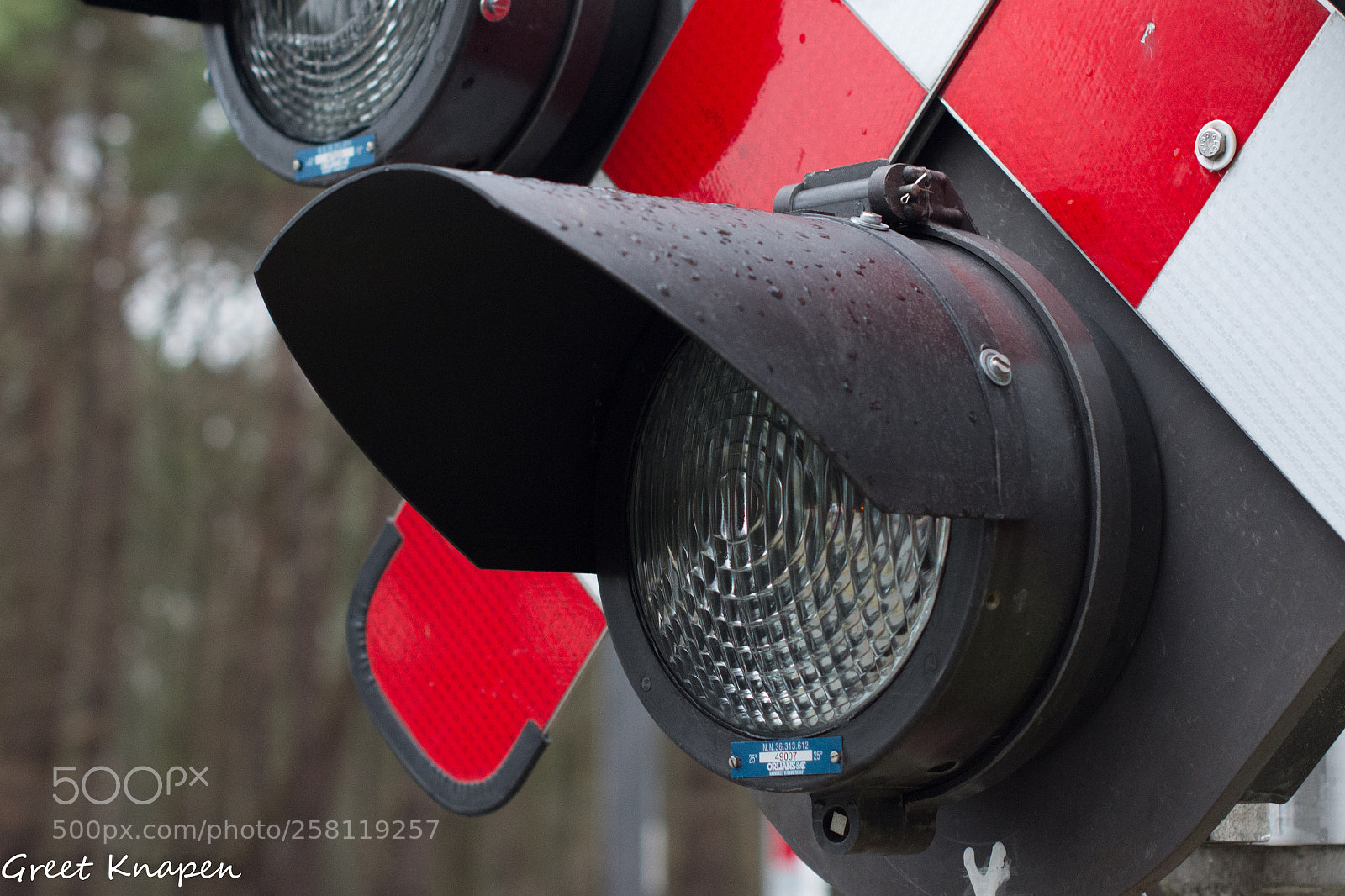 Nikon D7200 sample photo. Statie photography