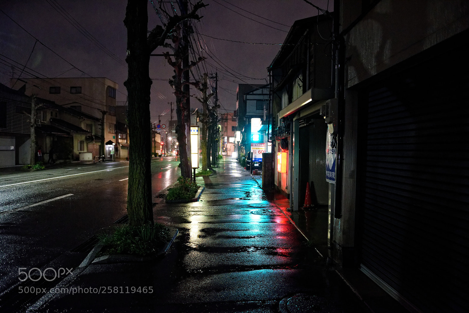 Nikon D810 sample photo. Kanazawa night walk photography