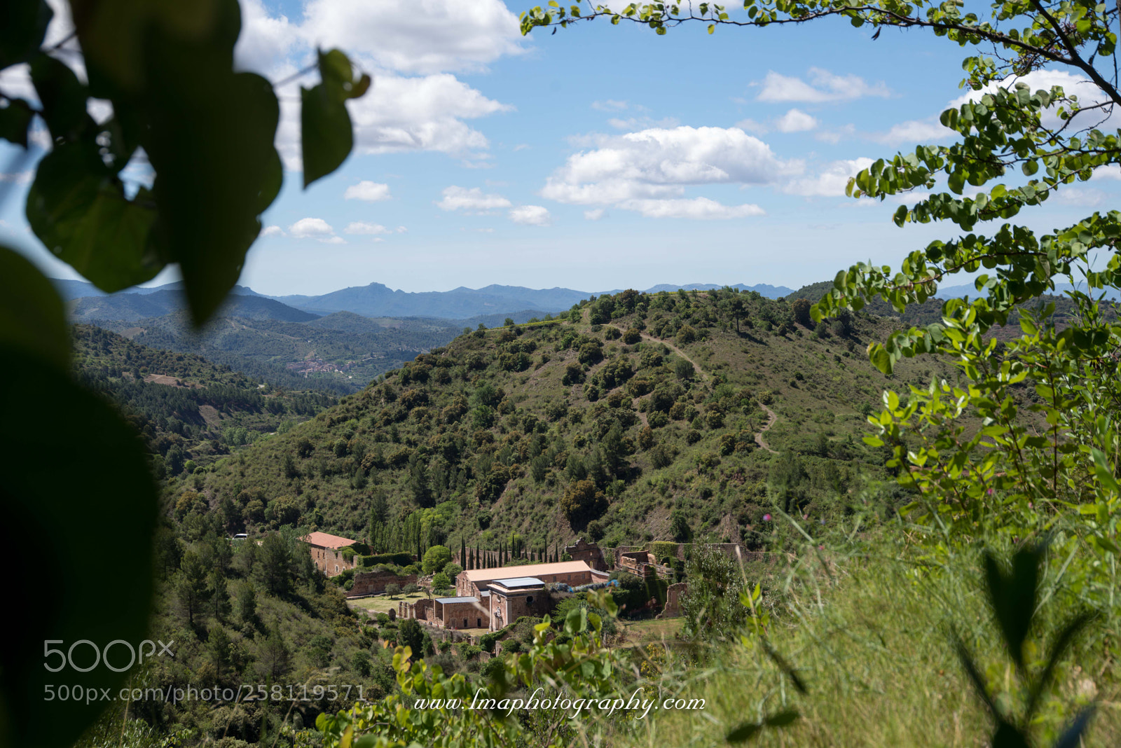 Nikon D610 sample photo. Vista general cartotxa escala photography