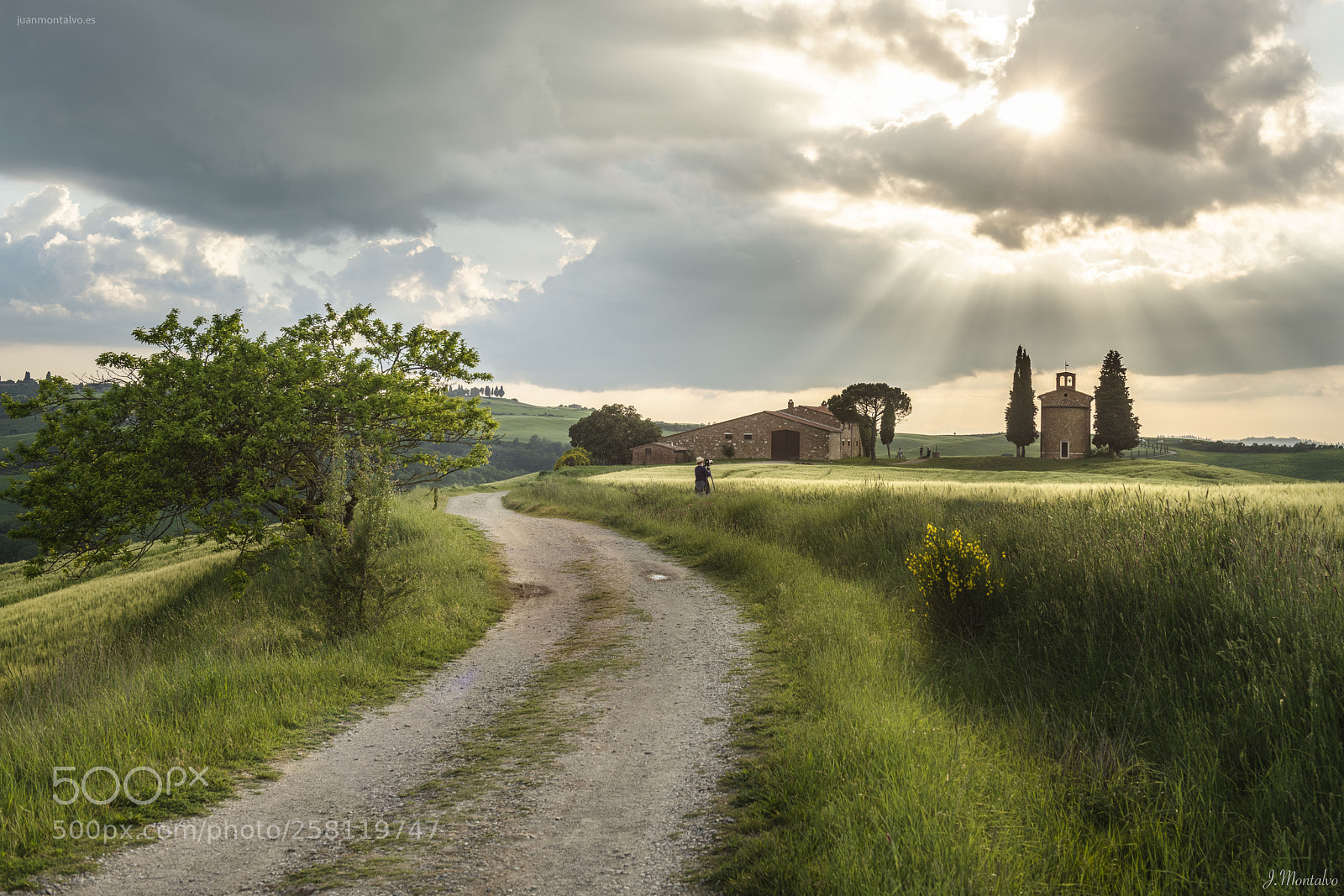 Nikon D850 sample photo. Tuscany light photography