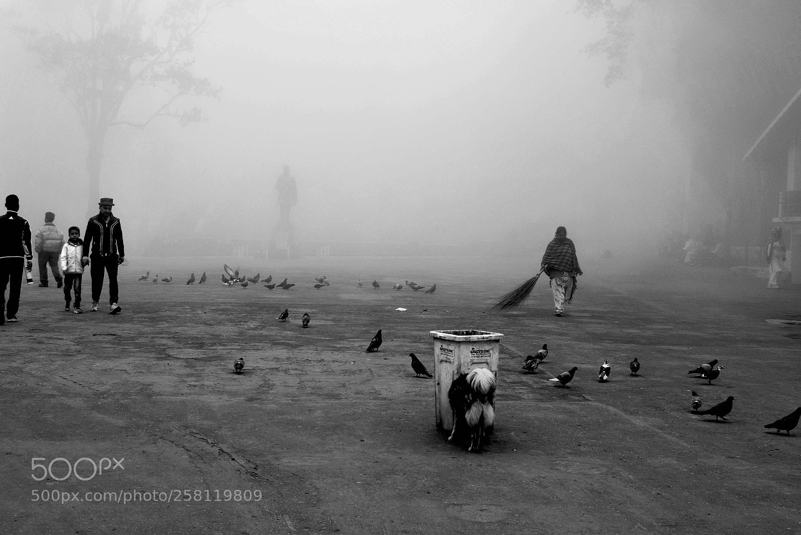 Nikon D3300 sample photo. Cold and misty photography