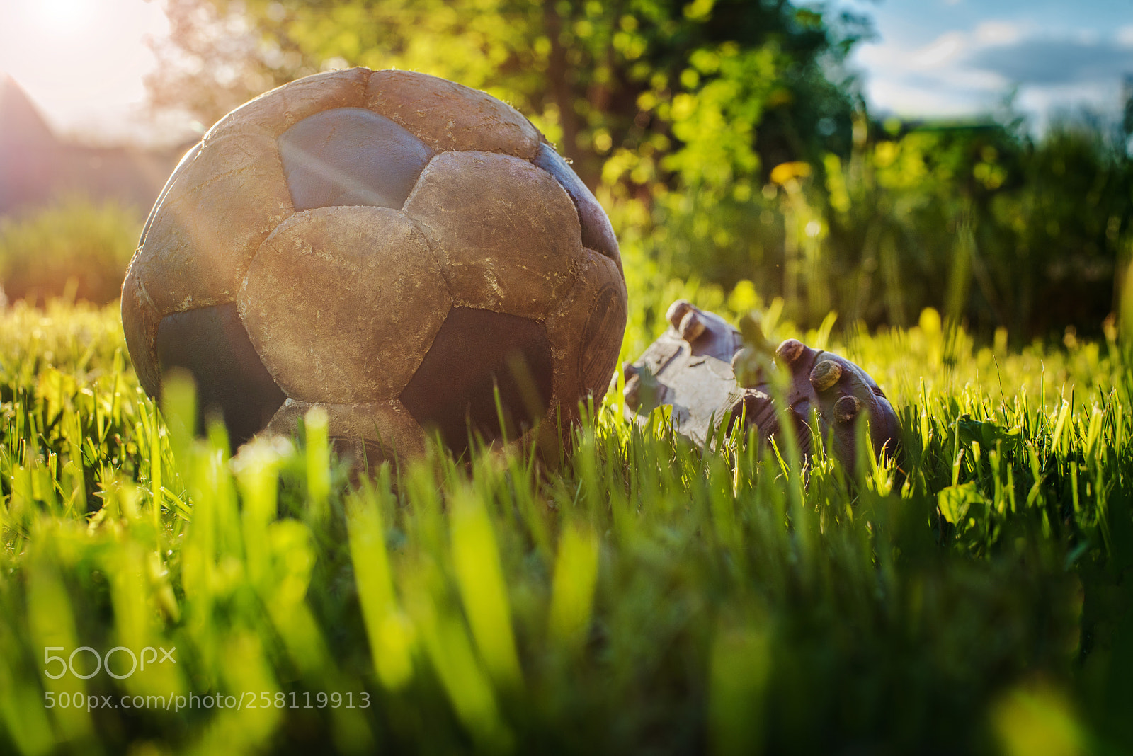 Nikon D800 sample photo. Old ball to play photography