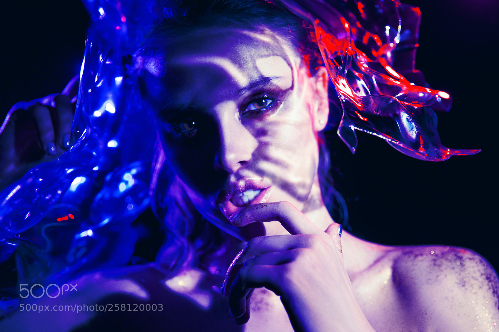 Canon EOS-1D X sample photo. A64w6102-2.jpg photography