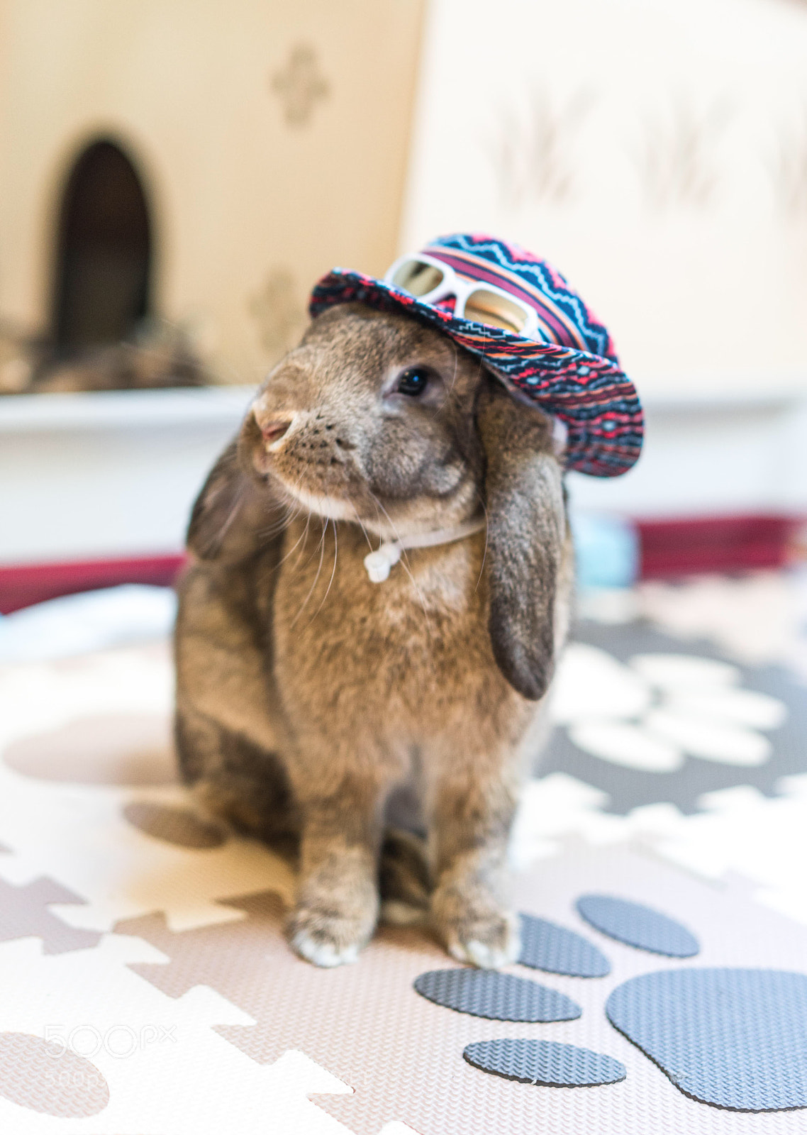 Sony a7R III sample photo. Bunny in a hat photography