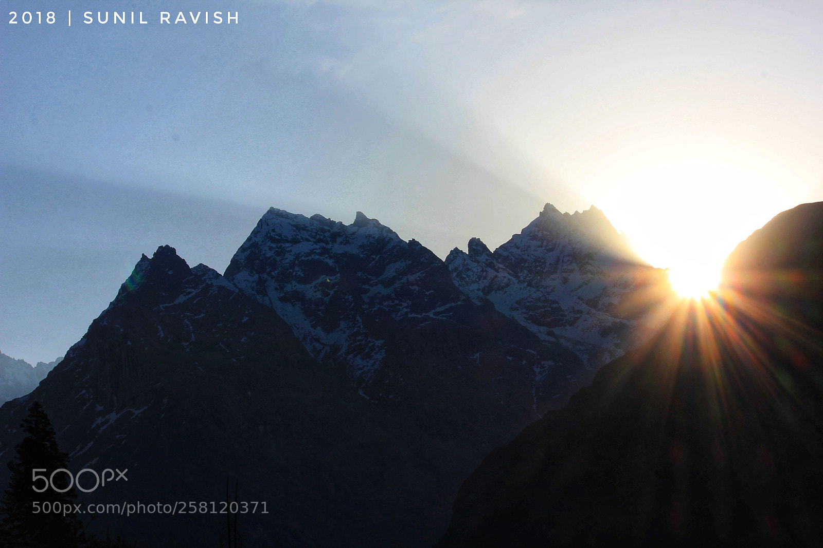 Canon EOS 550D (EOS Rebel T2i / EOS Kiss X4) sample photo. Mornings photography