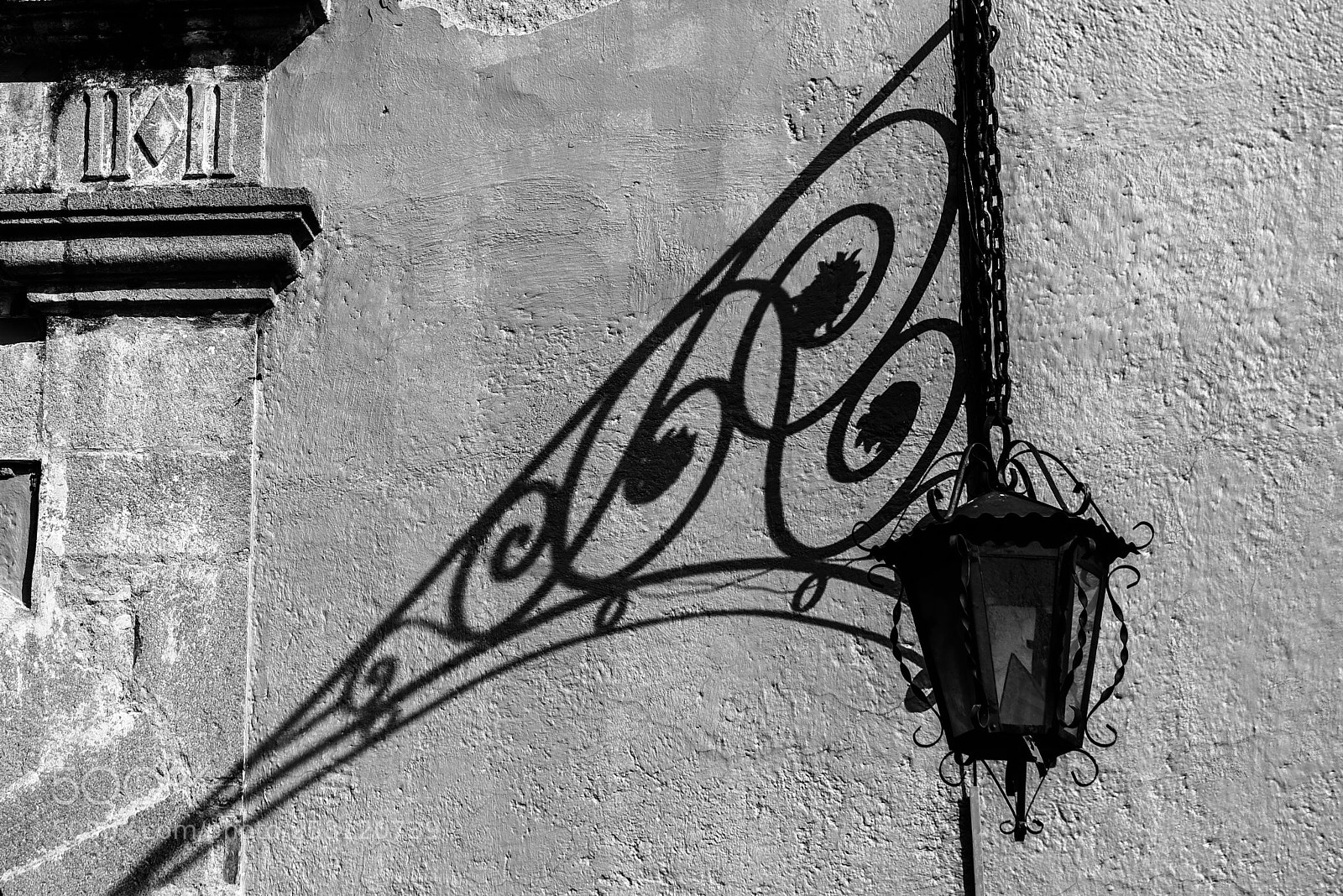 Nikon D750 sample photo. Shadow from the side photography