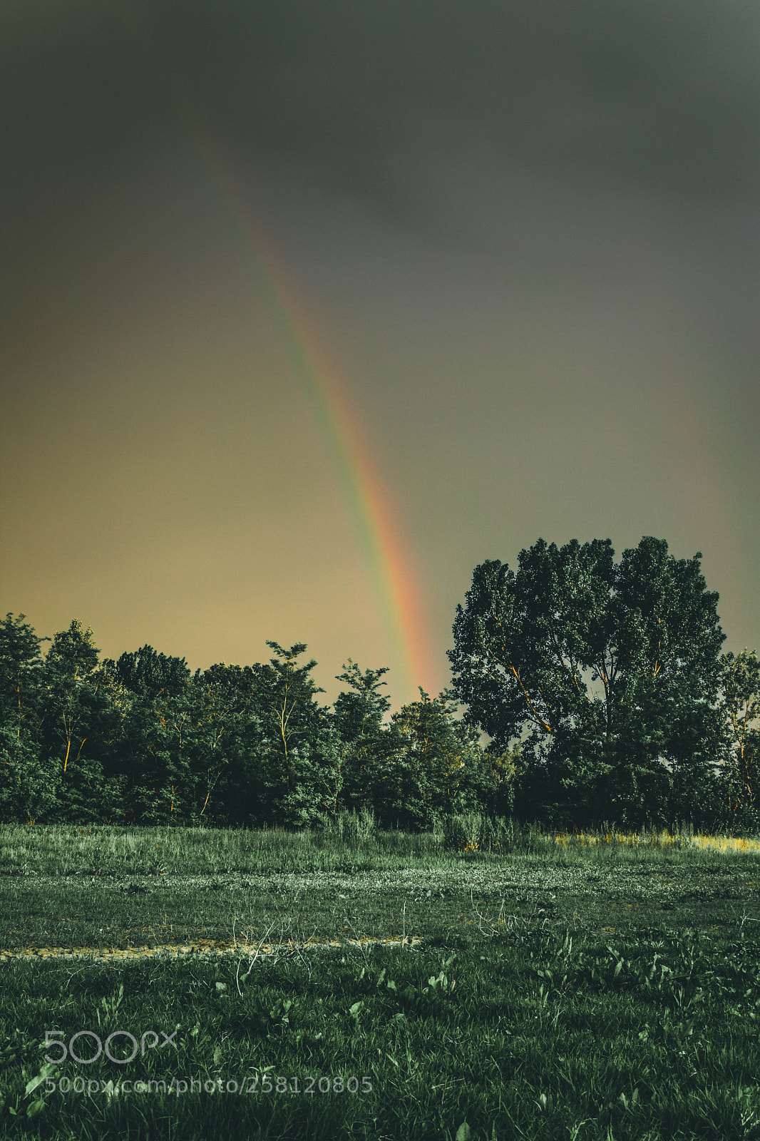 Nikon D3300 sample photo. Untitled photography