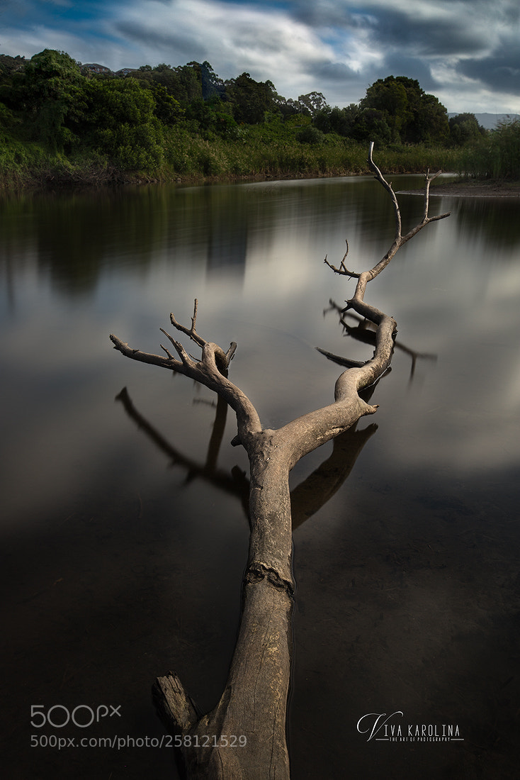 Canon EOS 6D sample photo. Recreation photography